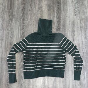 Velvet Dark Green Striped Turtleneck Sweater